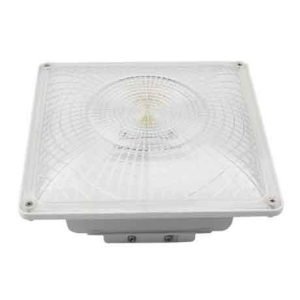 35W CANOPY LIGHT