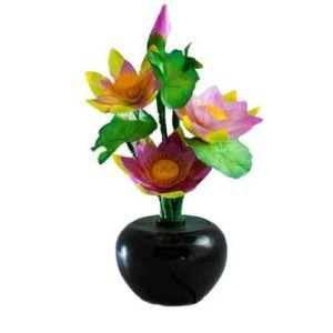 YQ-086 FIBER POWDER OF LOTUS