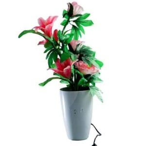 YQ 112 LILY