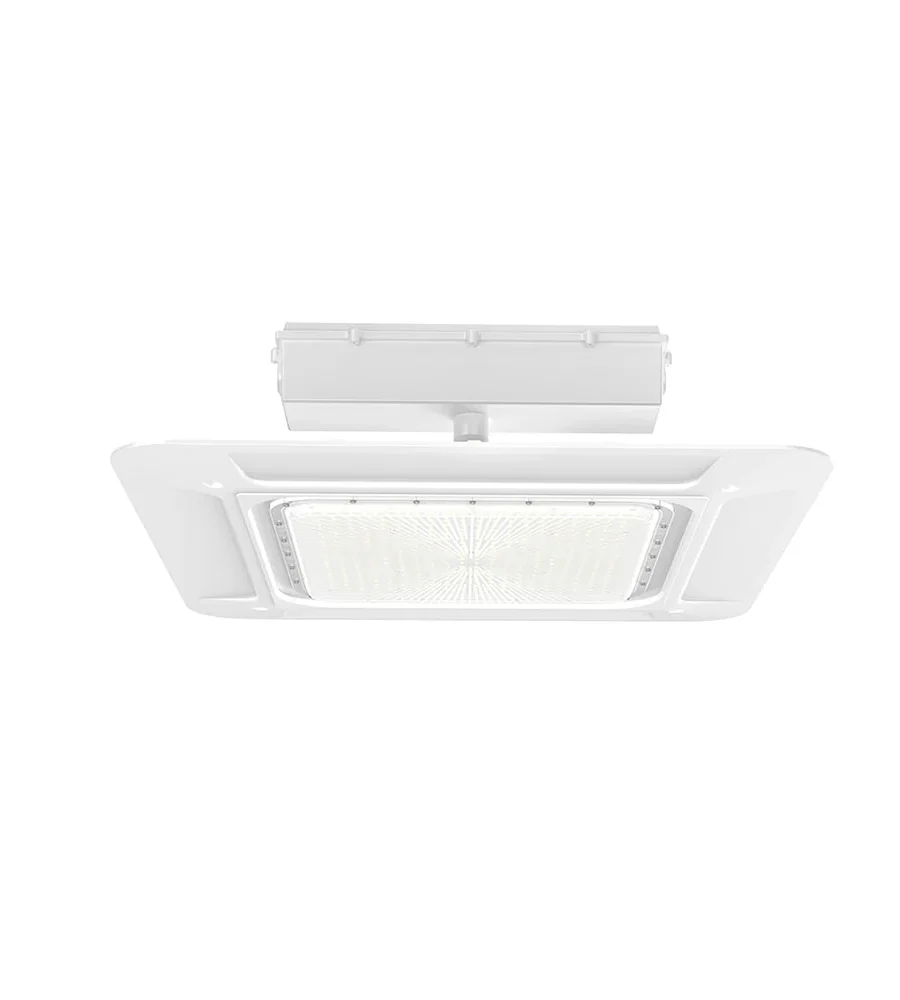 Zilara B | LED Canopy Light