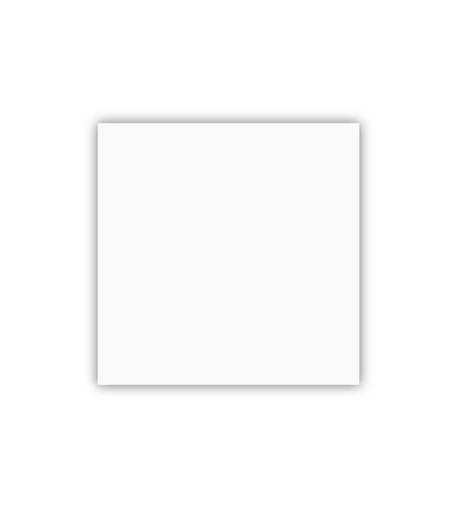 Canopy Plate 2×2