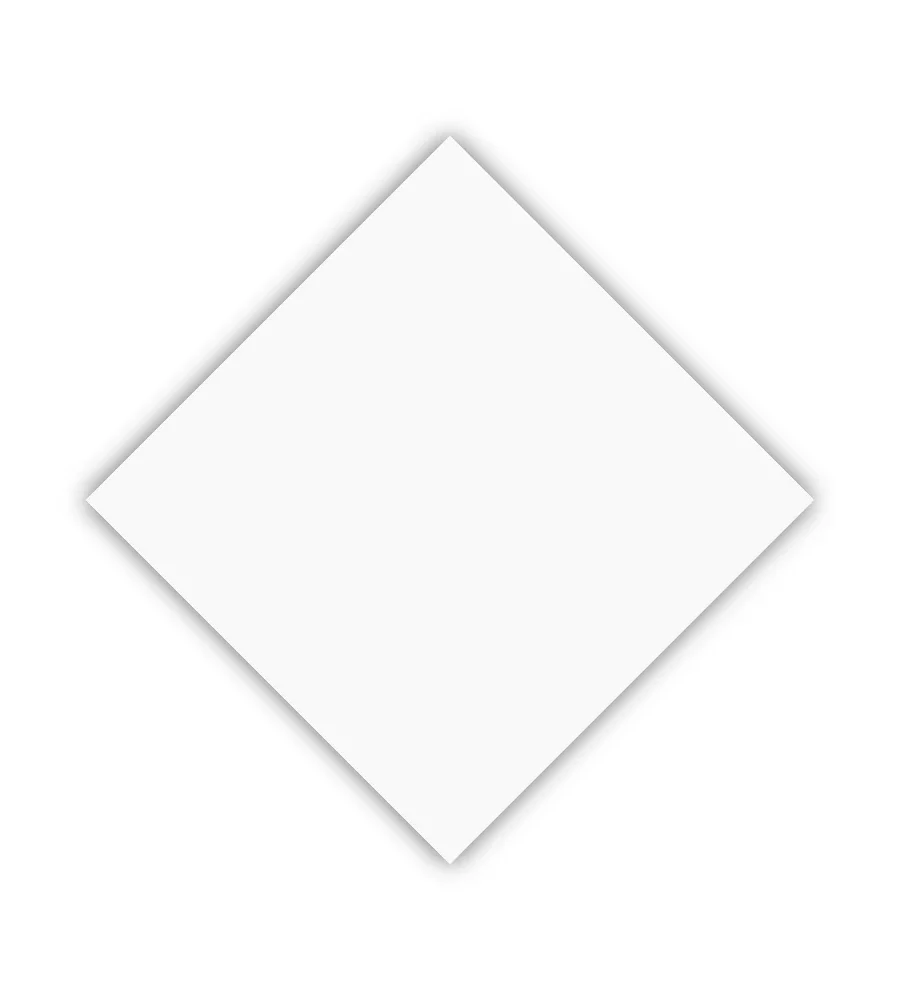 Canopy Plate 2×2